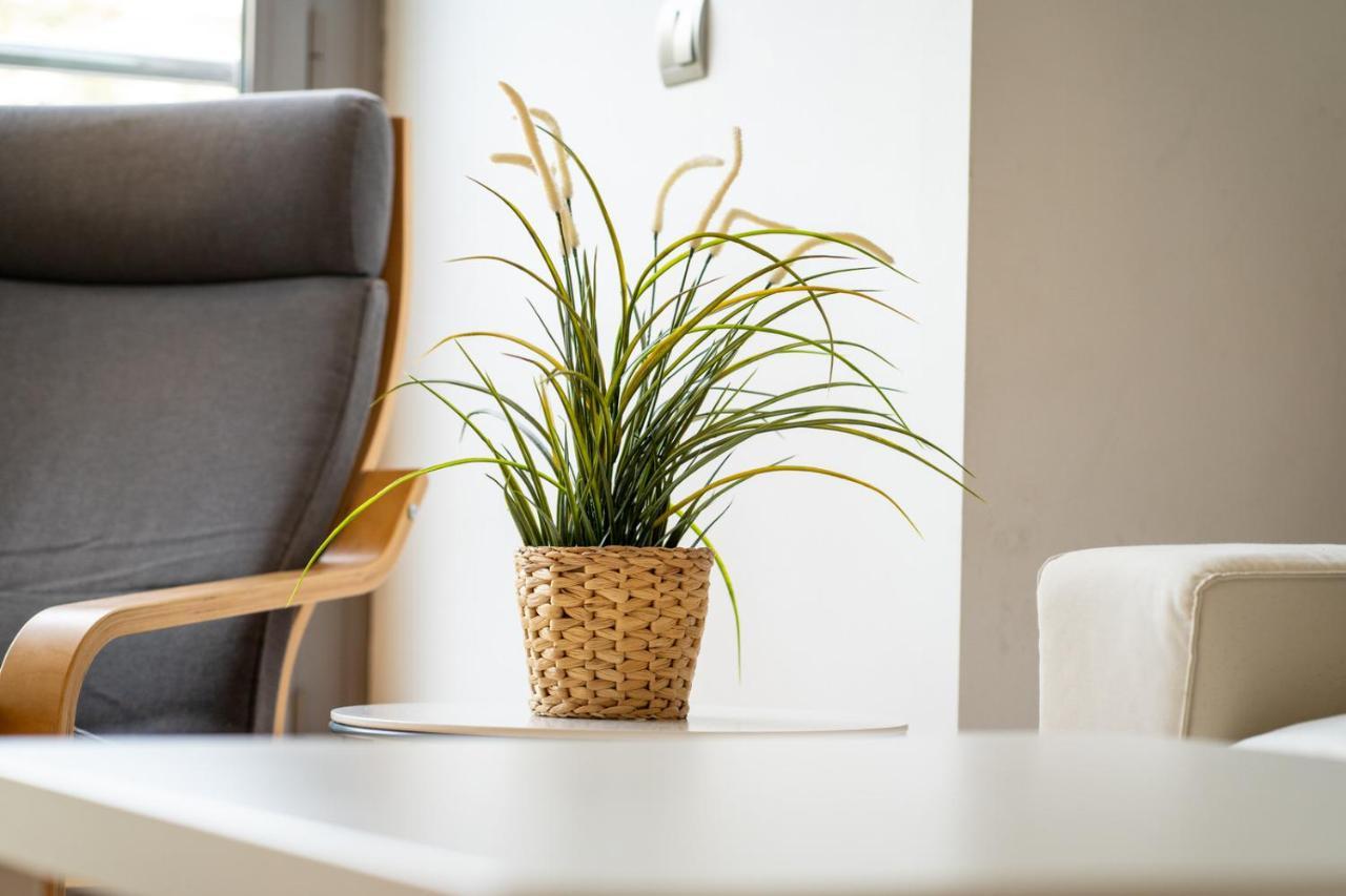 Alaia Playa Gran Terraza By Alohamalaga Apartment Ngoại thất bức ảnh